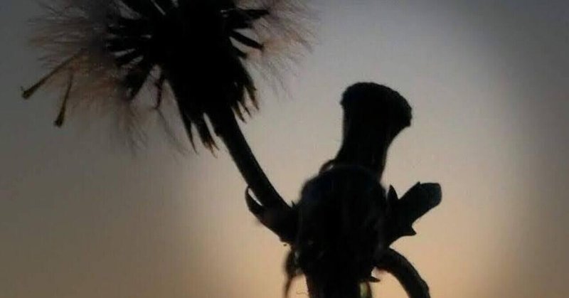 WWG1WGAわたしメモ📝✒️(311忘れない)