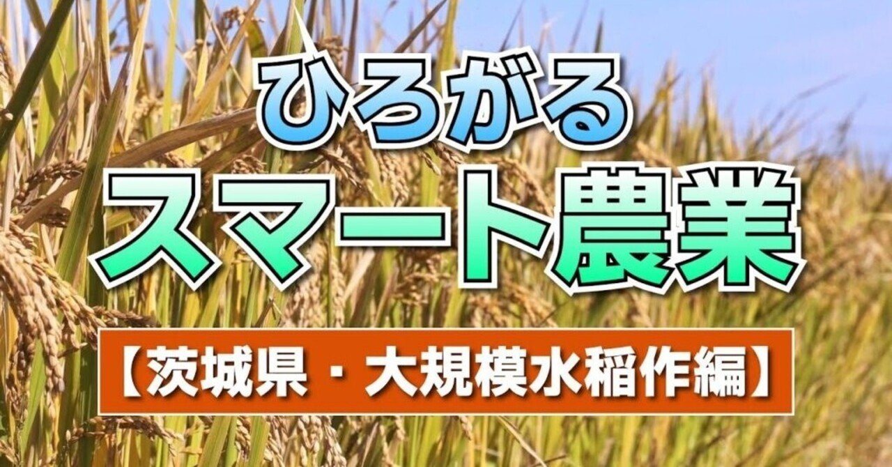 イラストみんなの農業教室 4 水稲の増収技術 送料無料 イラスト