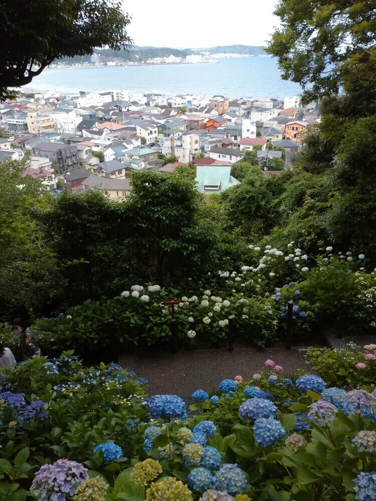 画像6