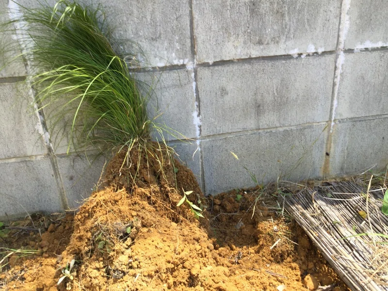 除草の季節がやってきた 高梨 Note