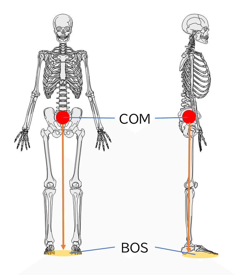 COMとBOS