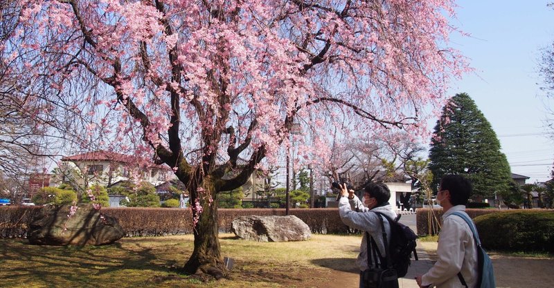 声喩法を用い、キャンパスの4月の様子を伝える