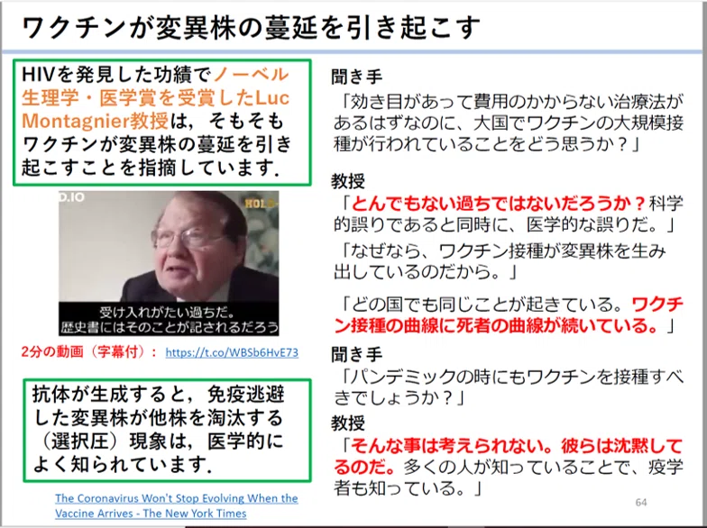 画像28