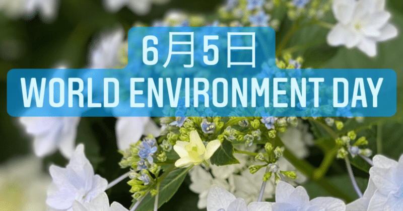 ６月５日は世界環境デー、６月は環境月間