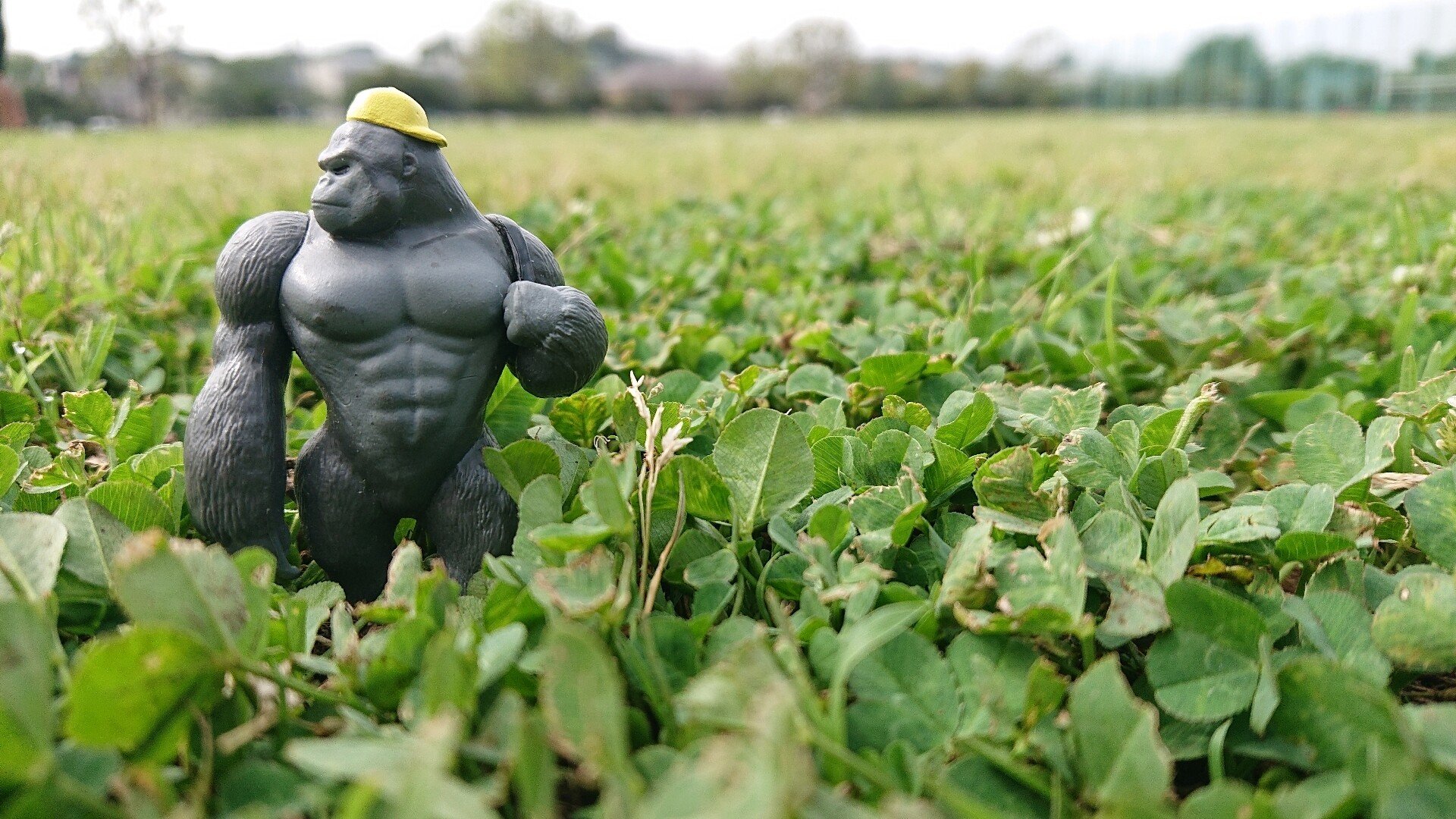 才能は開花させるもの センスは磨くもの あっちゅん Note