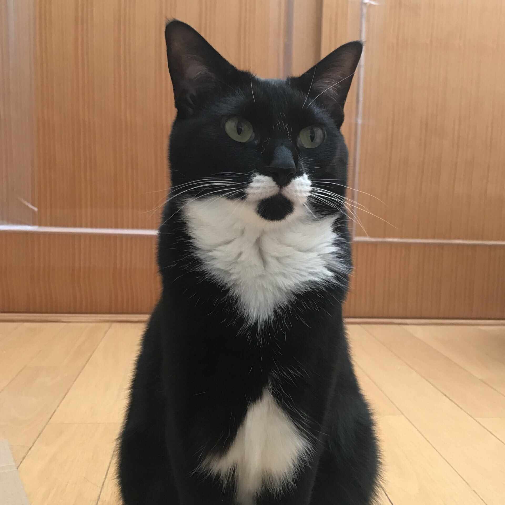 いしもとじゅん