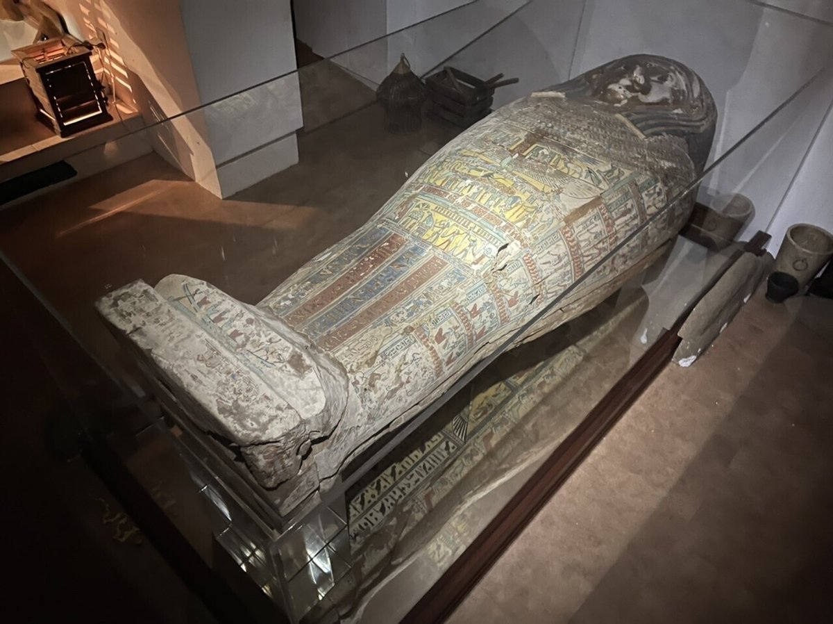 古代エジプト美術館を探検する:後編|Shelk🦋 古代エジプト美術館を探検する:後編|Shelk🦋