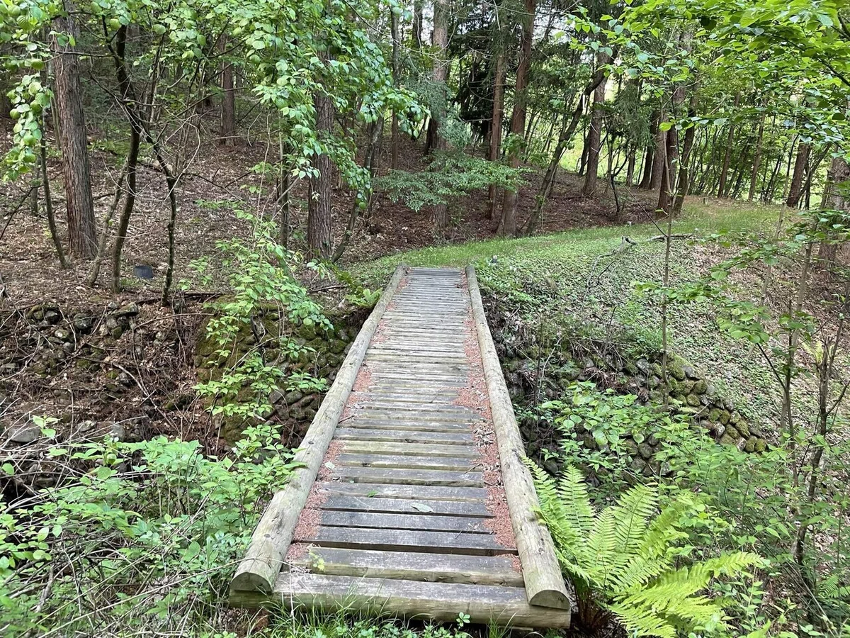 画像71