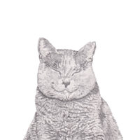猫万歳 Tennyan Note 猫万歳 Tennyan Note