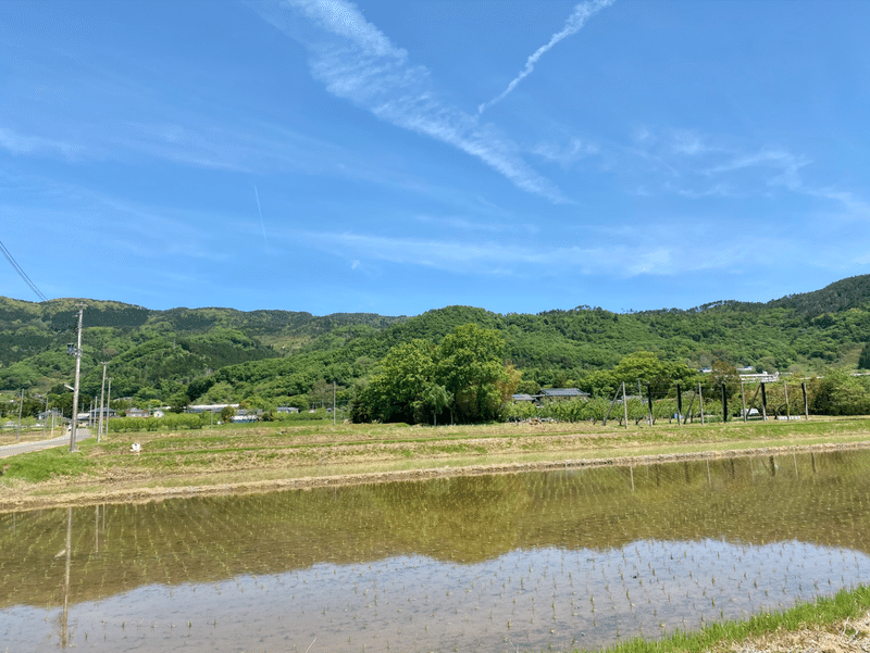 田園風景6月国見通信