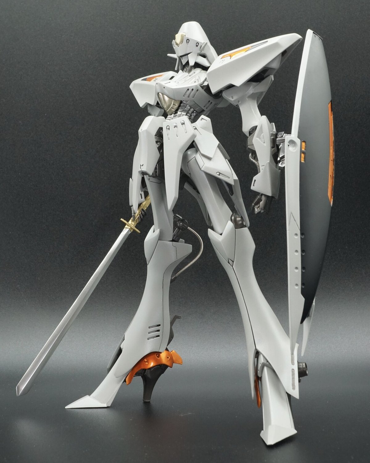FSS 濯げる 1/100 エンゲージSR2