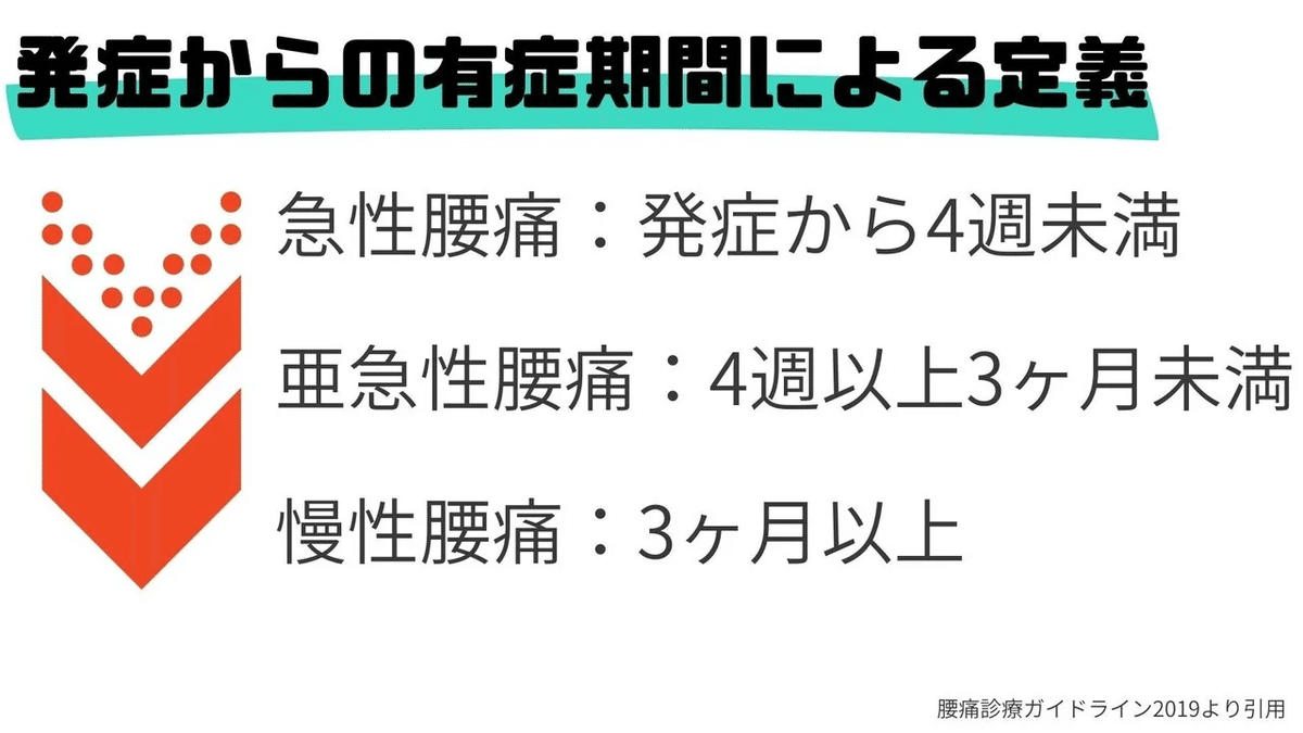 慢性腰痛の理解と運動療法｜樋口 翔太