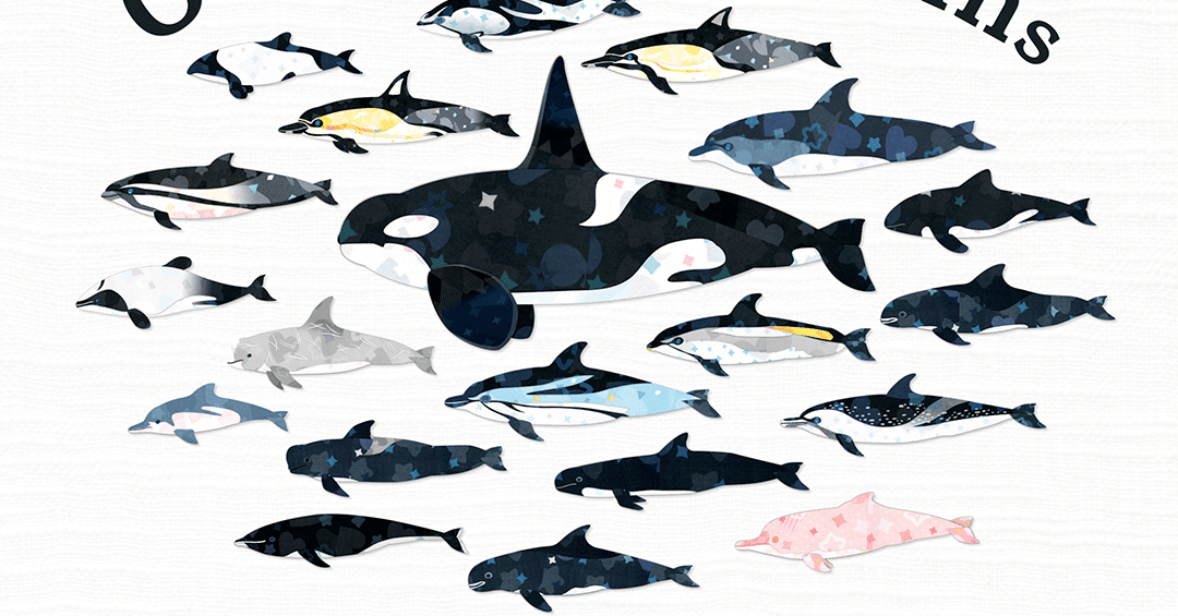 b3399a7e0e08b2c491f2ee2cac3dfb