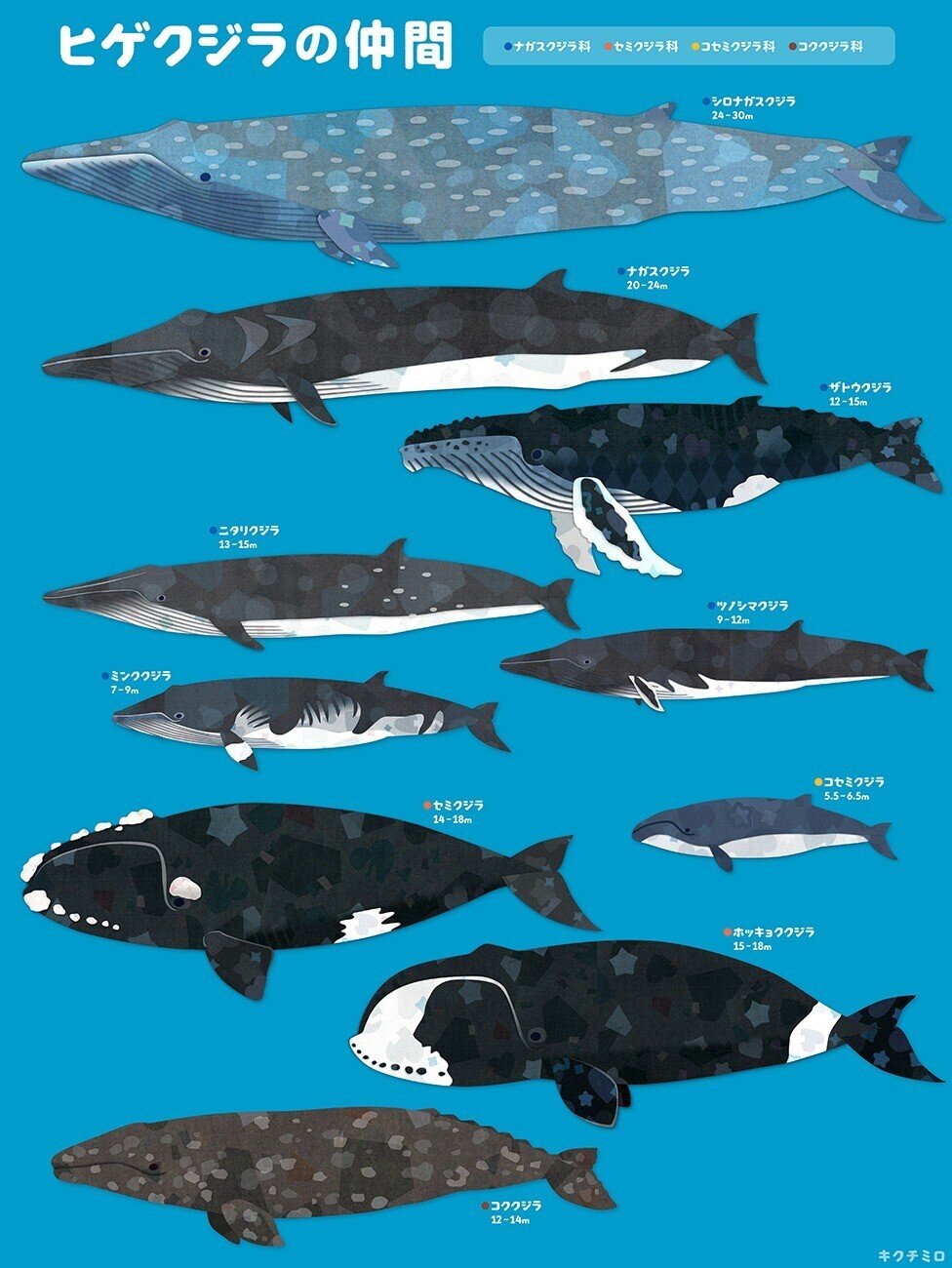 ヒゲクジラまとめ