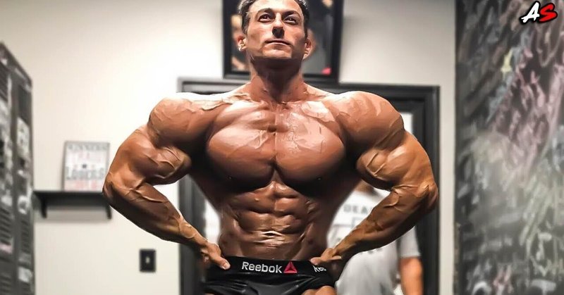 サディクハゾビック Sadik Hadzovicをwiki風に解説|経歴・トレ・食事|ダイナマイト息子|note