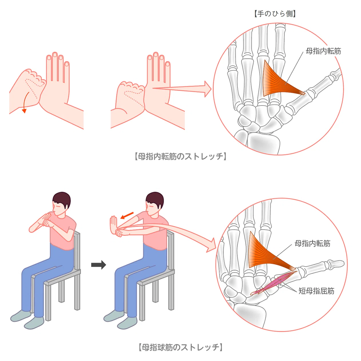 公の場での発言・インタビュー報道記録