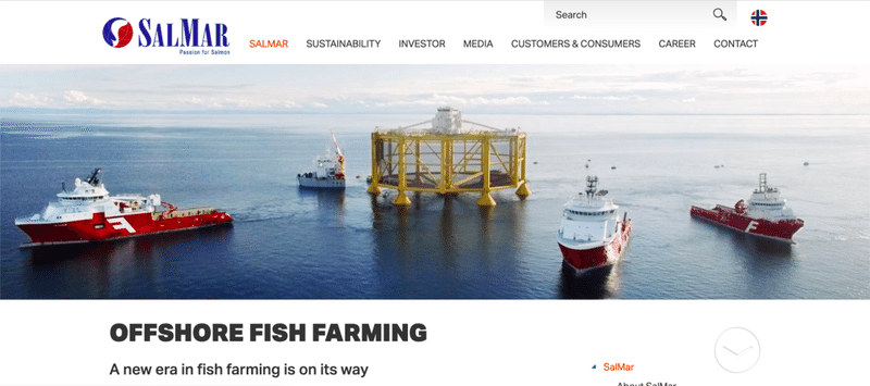 ノルウェーサーモンは危険な食べ物 いいえ それは誤解です ノルウェーサーモンはスーパーフード みんなのビジネスジャーナル Note