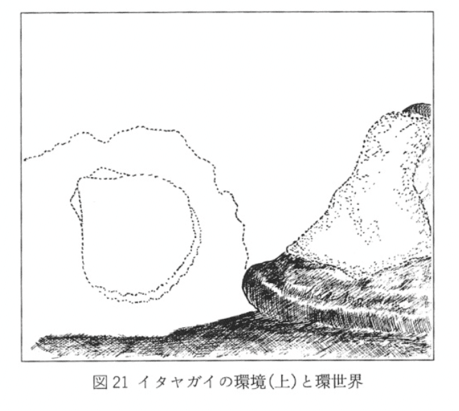 生物から見た世界｜Keio SFC Matsukawa Lab