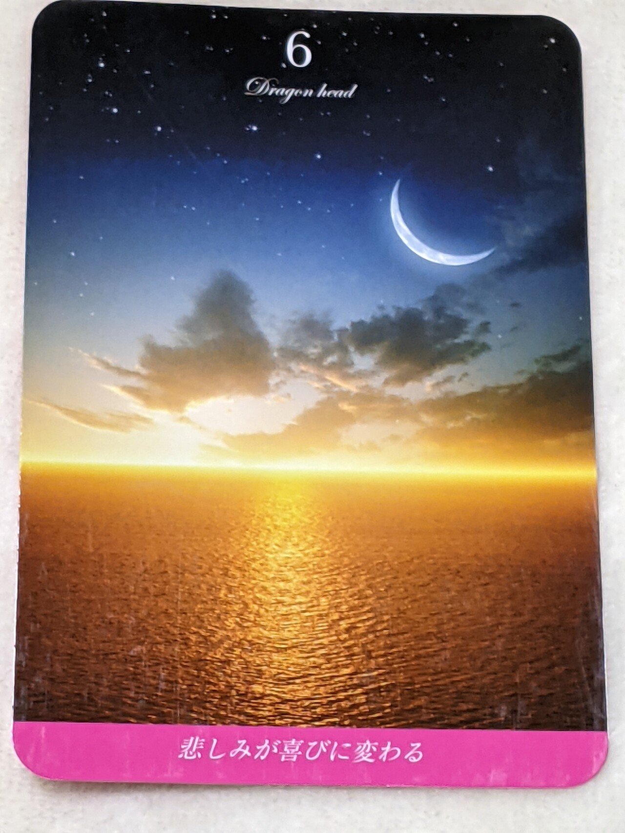 Magenta Love Oracle 明日への導き にゃお Note