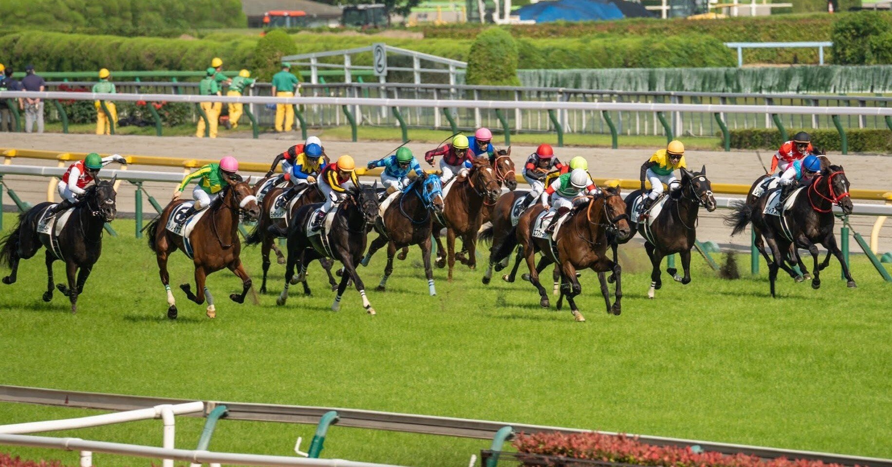 ニコマス競馬部pog 21 22ドラフト会議結果と自分の指名馬 ごま Note
