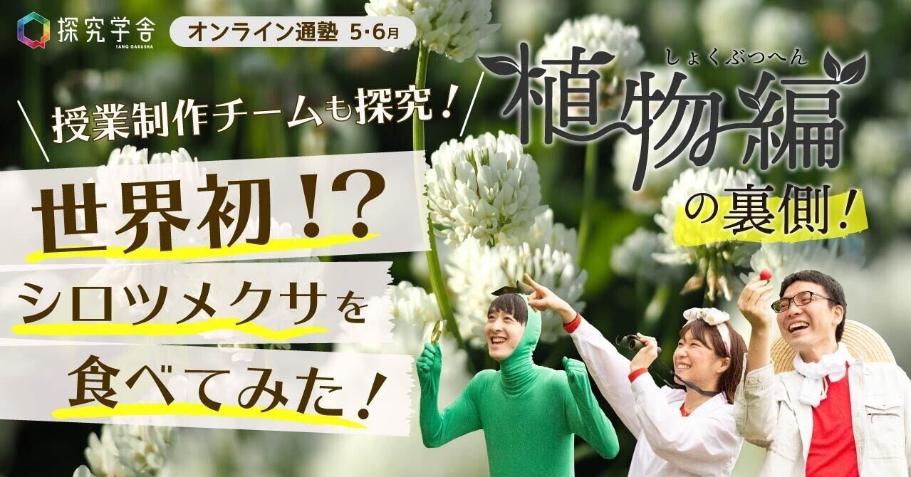 授業制作チームも探究 世界初 シロツメクサを食べてみた 探究学舎 Note