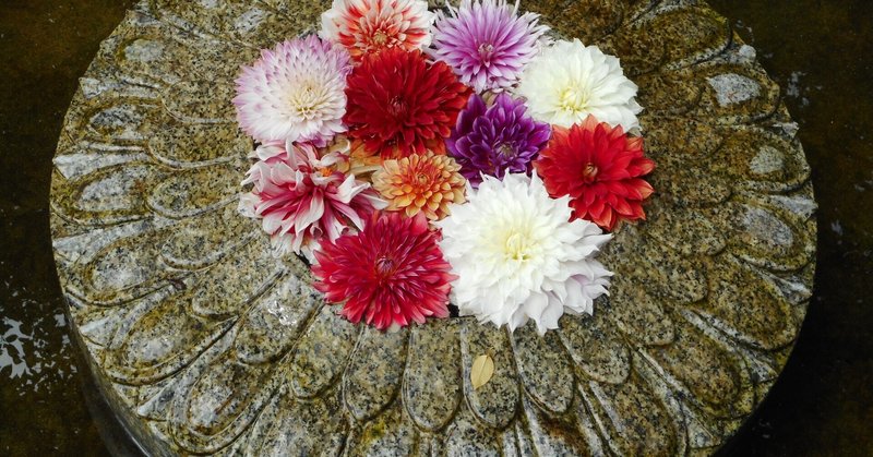 岡寺 の新着タグ記事一覧 Note つくる つながる とどける