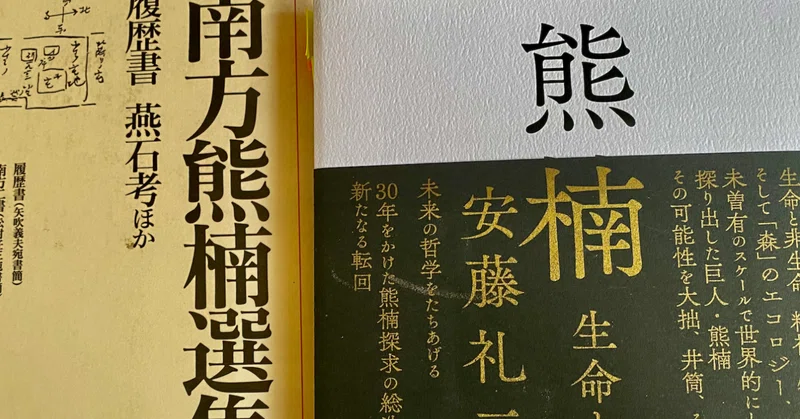 Amazon Co Jp 霊能力 霊感のない人 ある人との差は爬虫類脳にあった Ebook ベリー西村 本