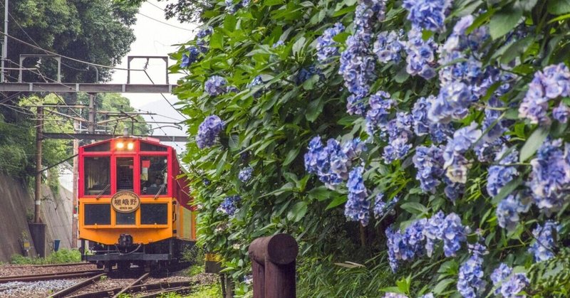 雨のトロッコ嵐山駅 嵯峨野トロッコ列車30th 駅のつれづれ日記 ときどき さぁちゃん Note