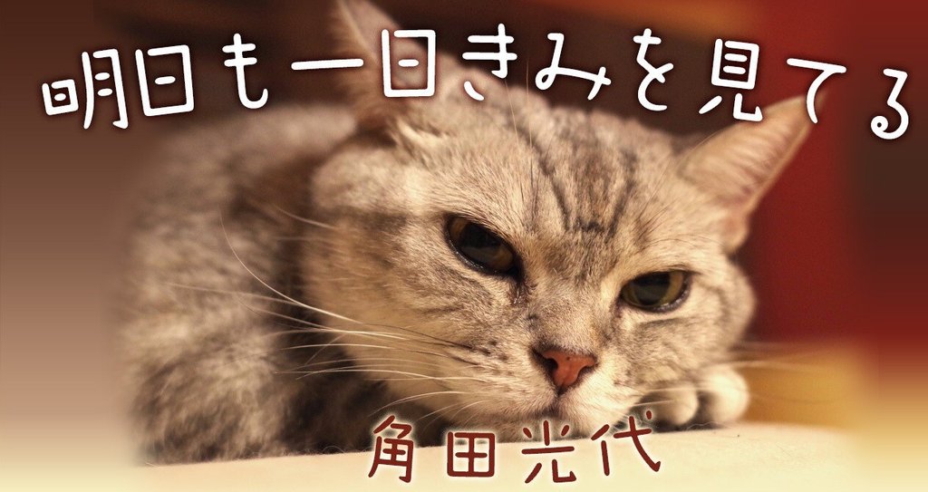 エッセイ連載 角田光代 明日も一日きみを見てる 小説 野性時代 エッセイ連載 角田光代 明日も一日きみを見てる 小説 野性時代