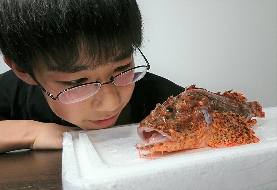 ととけん1級史上最年少合格 伊藤柚貴のおいしいお魚でなに作る 第2回 お魚をお取り寄せしてみよう Kadokawa児童書ポータル ヨメルバ Note