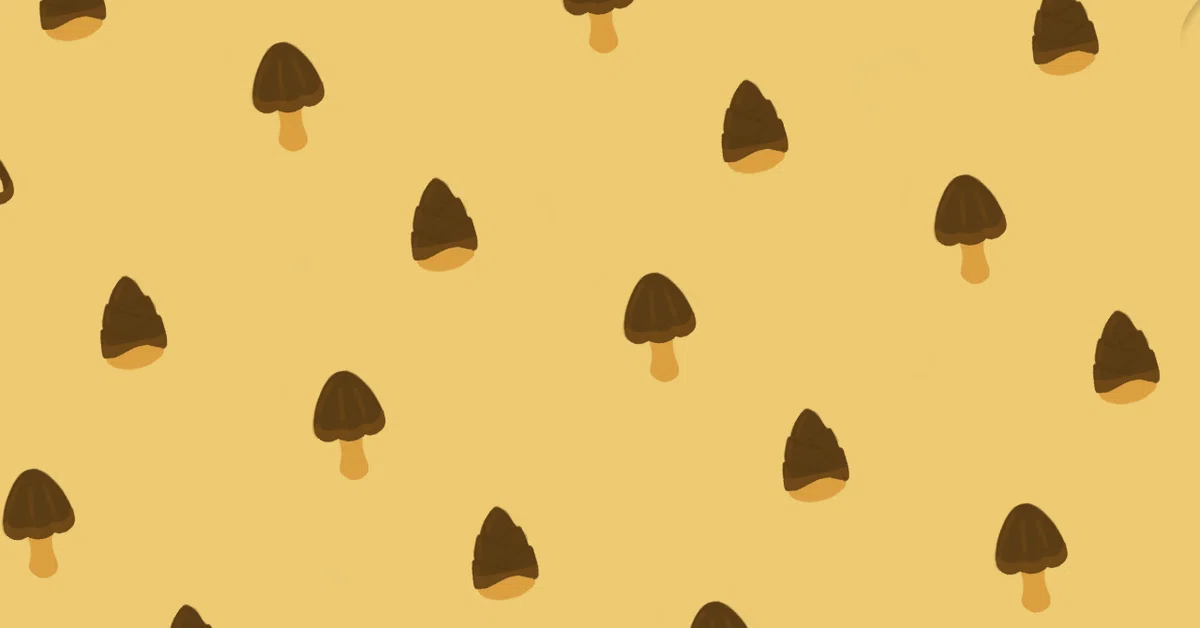 きのこたけのこ