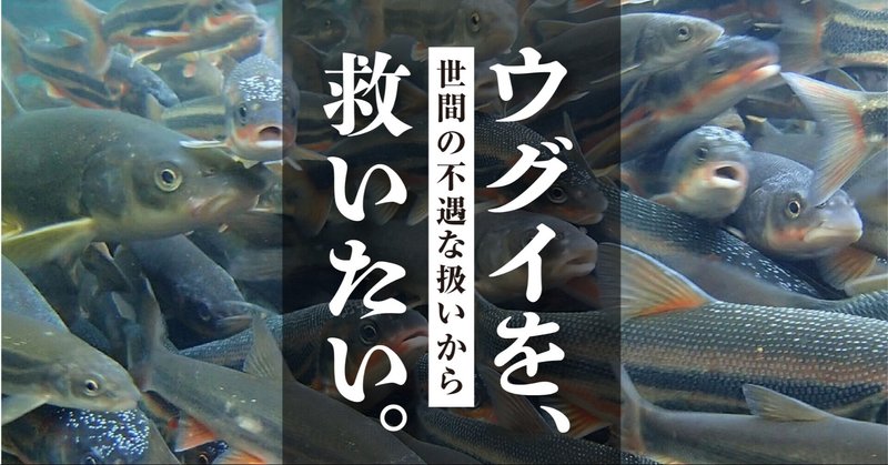 ウグイはまずくないし 外道じゃない 日本ウグイ協会を設立した話 竹本 純 田舎スローライフとデザインの記録 Note