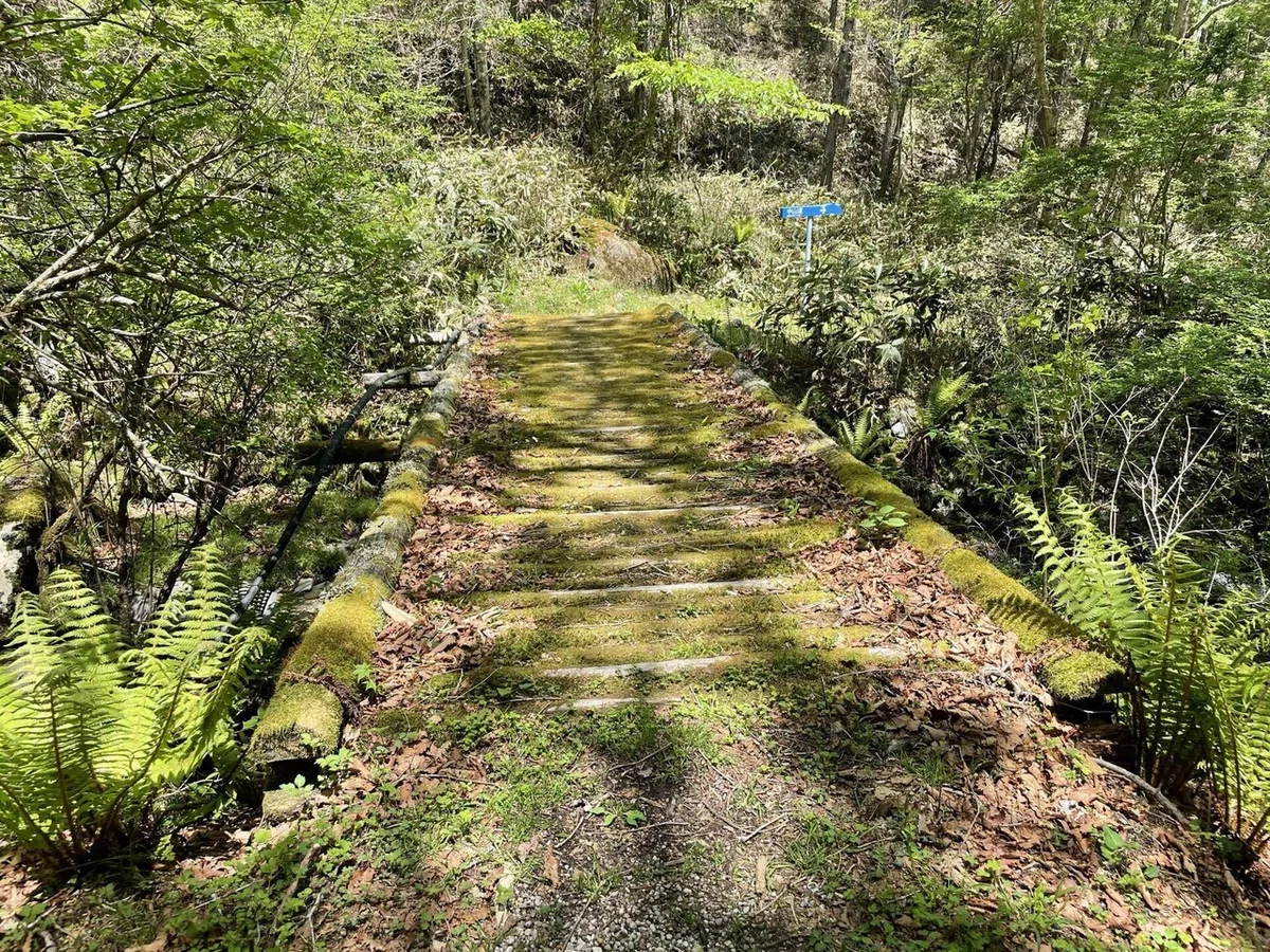 画像110