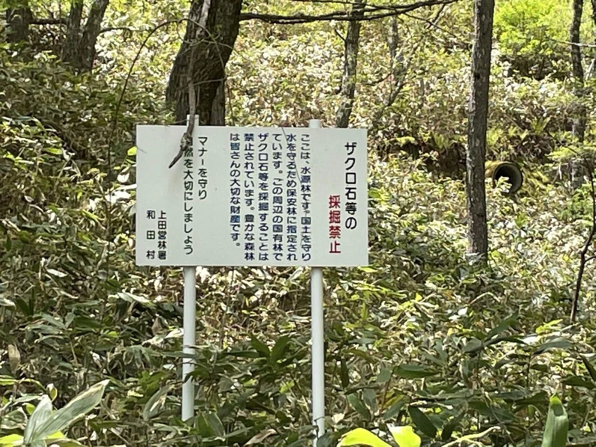 画像125