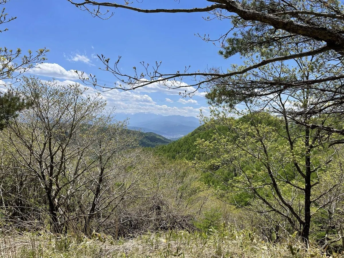 画像134