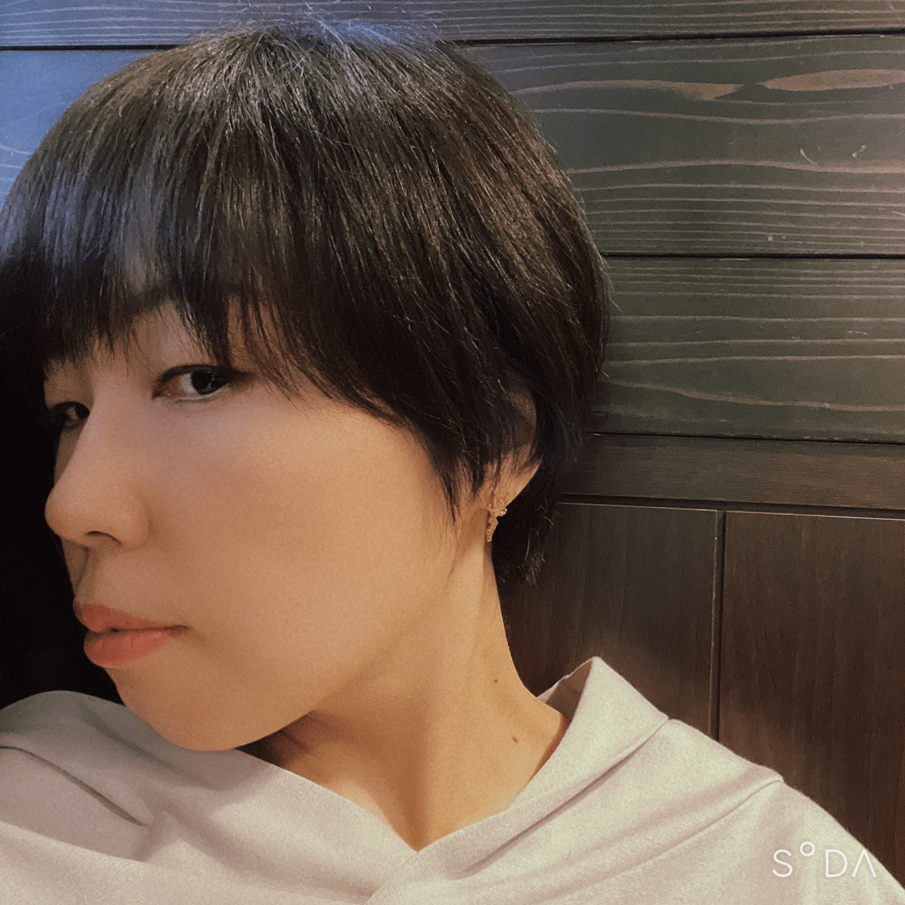 夏始めました 巷のyuki Note