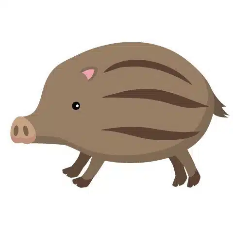ウリ子