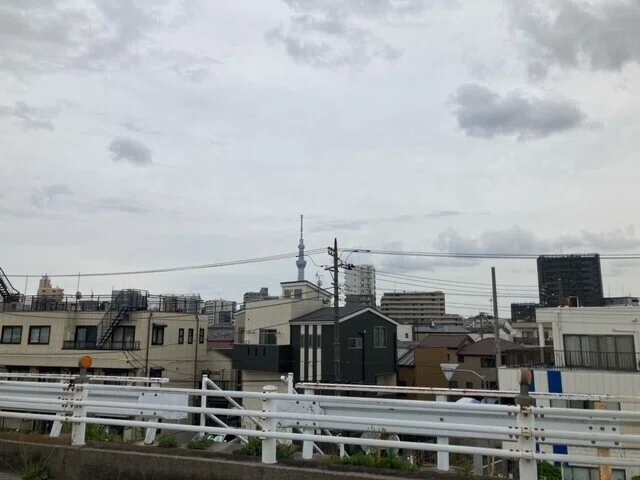 画像11