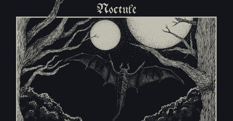 Noctule / Wretched Abyss