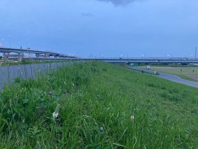 画像13