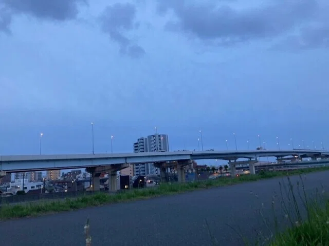 画像14