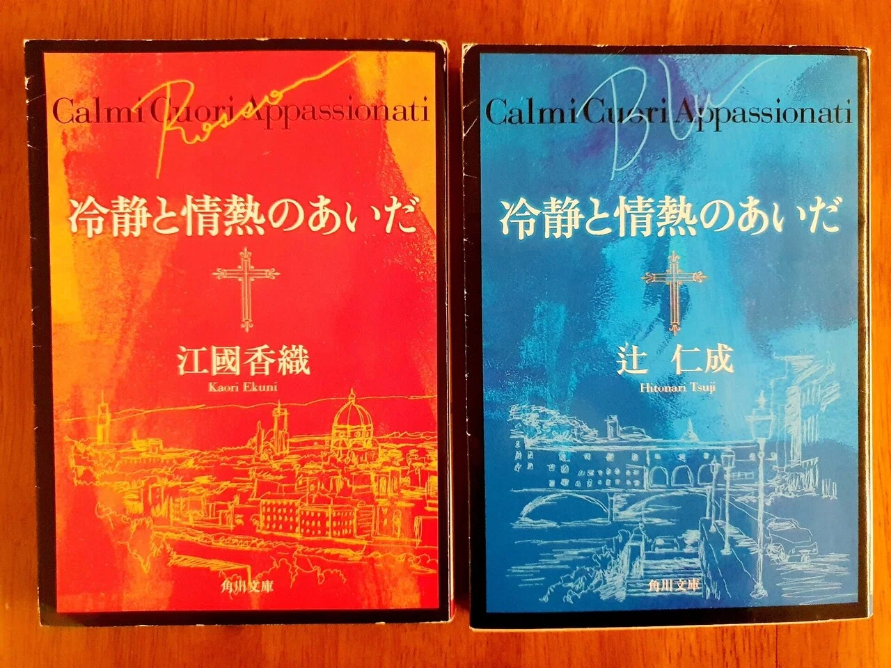 辻仁成さんの日記を読み続けた女の日記 〜セーヌ川オンラインクルーズ