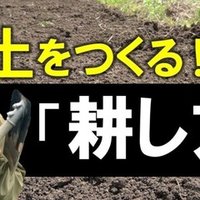 うどんこ病対策 無農薬 効果が高い重曹植物性オイルスプレーの作り方 井上寅雄農園 井上隆太朗 Note
