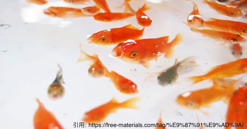 金魚すくい の新着タグ記事一覧 Note つくる つながる とどける 金魚すくい の新着タグ記事一覧 Note つくる つながる とどける