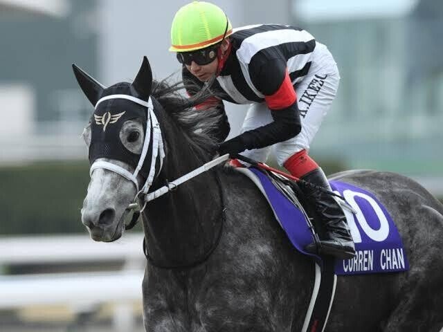 競馬 ウマ娘トレーナーと学ぶ 難解競馬用語講座 マツウラ Note