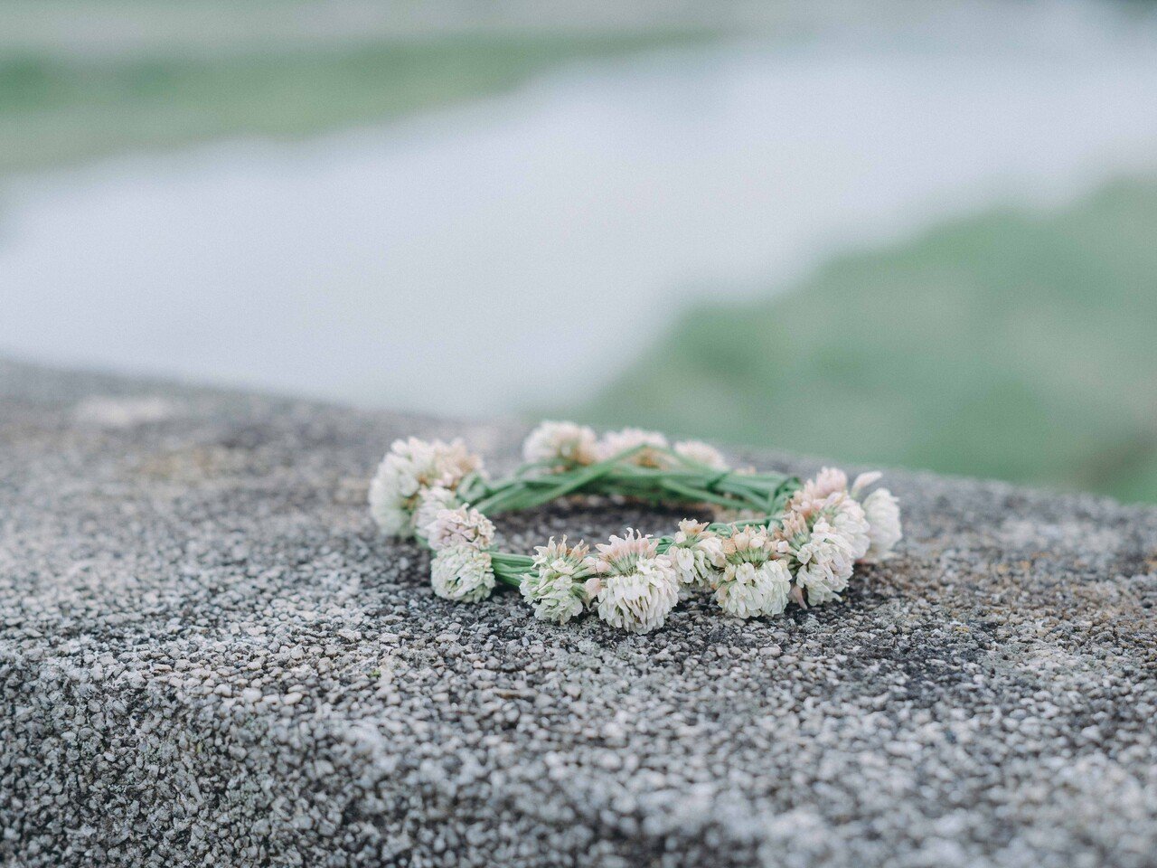 作例あり)MINOLTA MC ROKKOR-PF 55mm F1.7|Wataru 作例あり)MINOLTA MC ROKKOR-PF 55mm F1.7|Wataru
