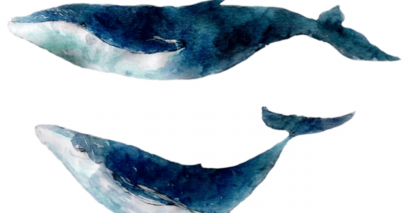 夜の鯨のヒトリゴト 搗鯨 或 Note