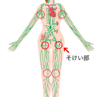 デスクワークの人向け 足のむくみを解消 一時的 する3つの方法 四股 マッサージ 背骨のストレッチ くどちん オンライン理学療法士 Note デスクワークの人向け 足のむくみを解消 一時的 する3つの方法 四股 マッサージ 背骨のストレッチ くどちん オンライン理学療法士 Note