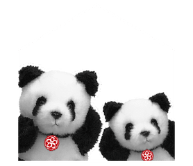 上野動物園 の新着タグ記事一覧 Note つくる つながる とどける 上野動物園 の新着タグ記事一覧 Note つくる つながる とどける