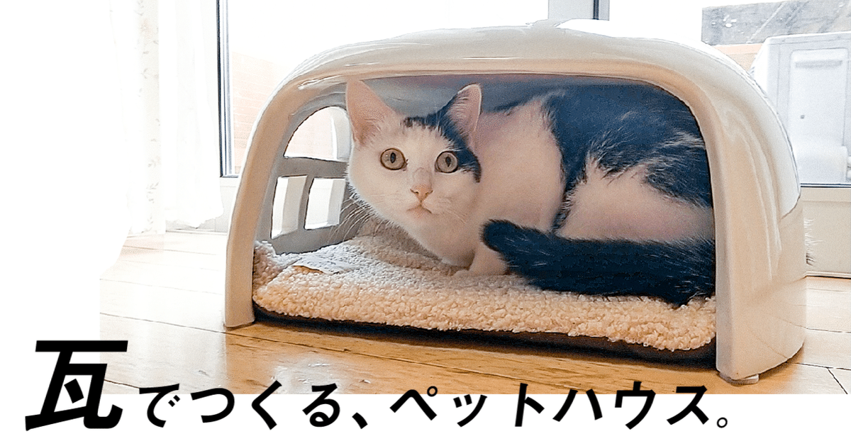 期間限定セール価格　瓦猫　しろ　三州野安　猫釜　猫ハウス main_8ad3ec05e88d723c89f62cb34